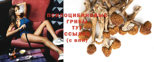 ПСИЛОЦИБИНОВЫЕ ГРИБЫ Наволоки