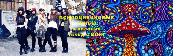 ПСИЛОЦИБИНОВЫЕ ГРИБЫ Наволоки