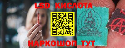 spice Берёзовский
