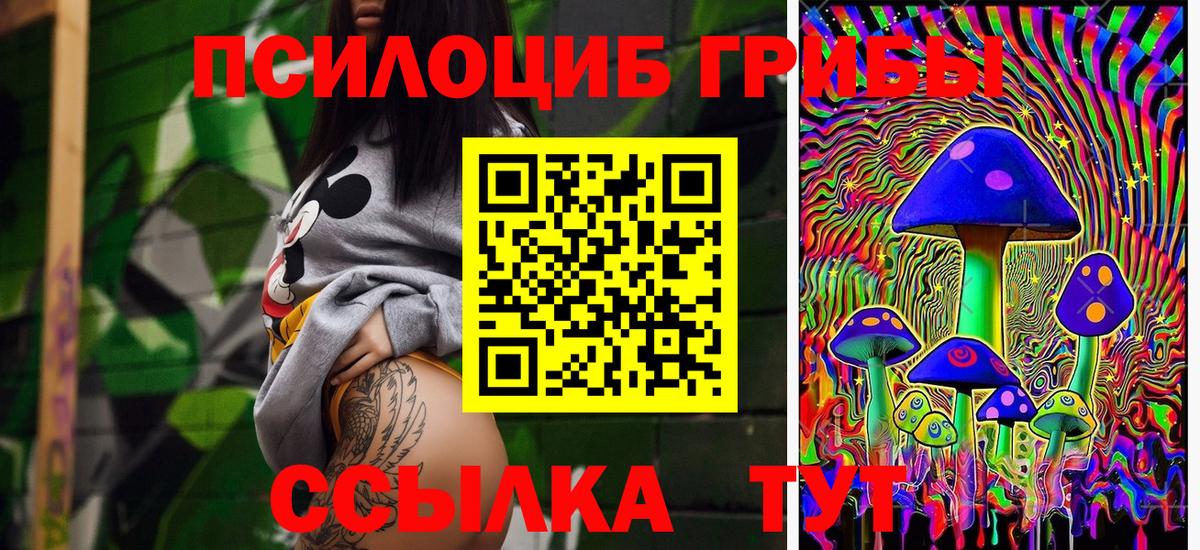Всеволожск  Псилоцибиновые грибы прущие грибы  Вход с VPN 