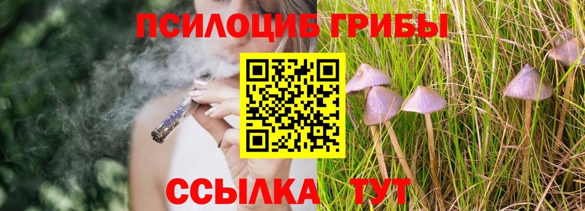 Галлюциногенные грибы ЛСД Всеволожск