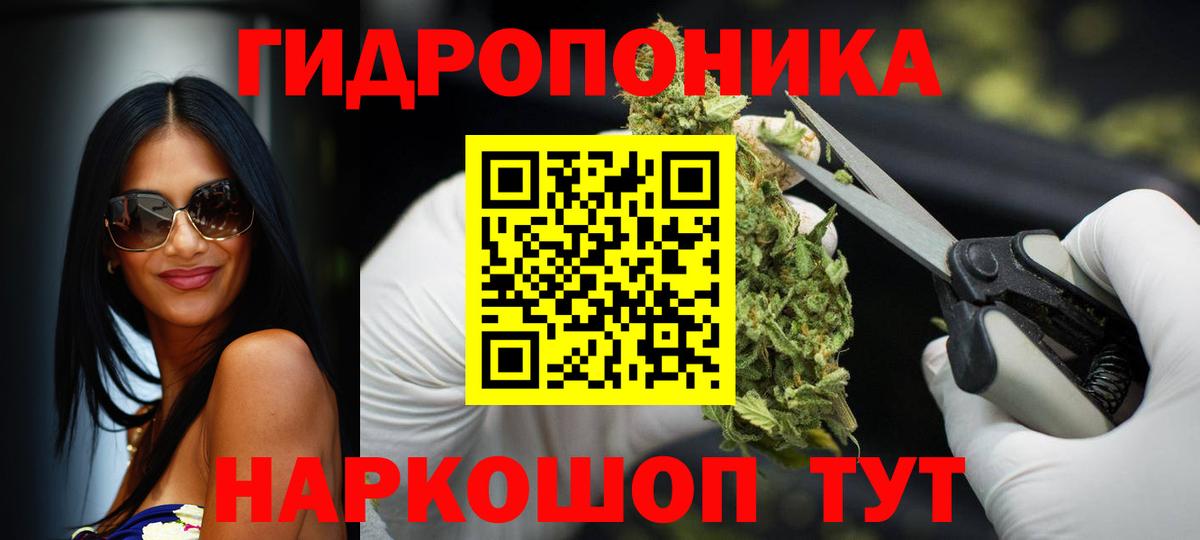 Каннабис семена  Шишки марихуана гибрид  Бошки марихуана LSD WEED  Всеволожск  Каннабис Amnesia 