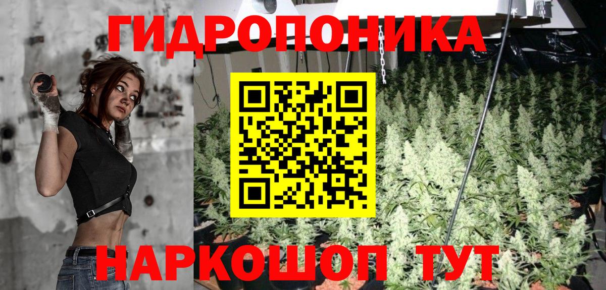 Канабис White Widow Всеволожск